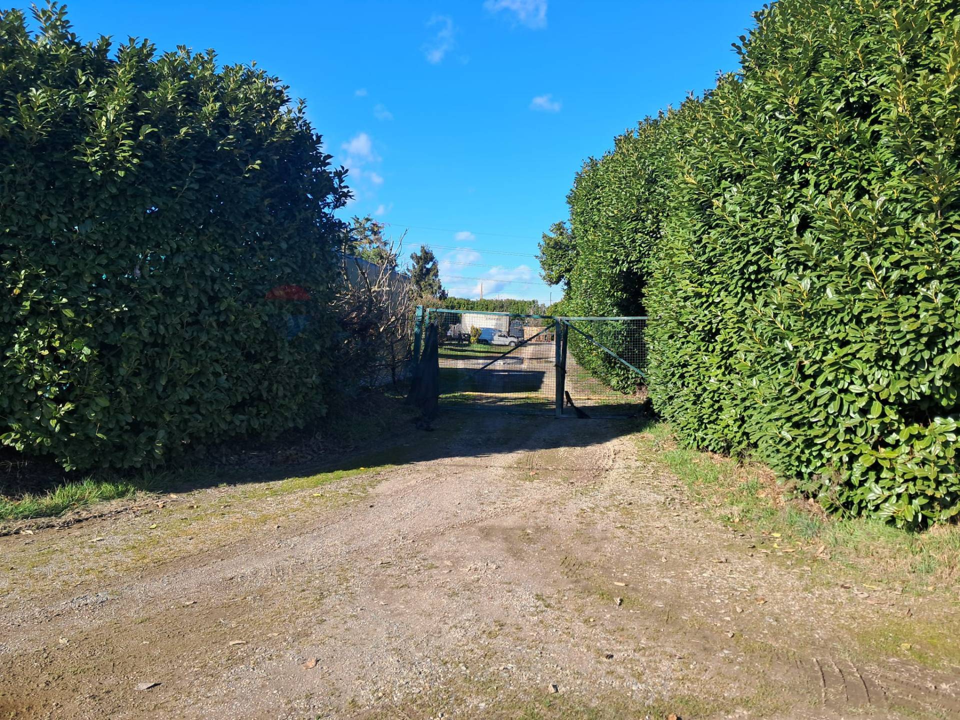 Fattoria in vendita a Marcallo con Casone, Barco