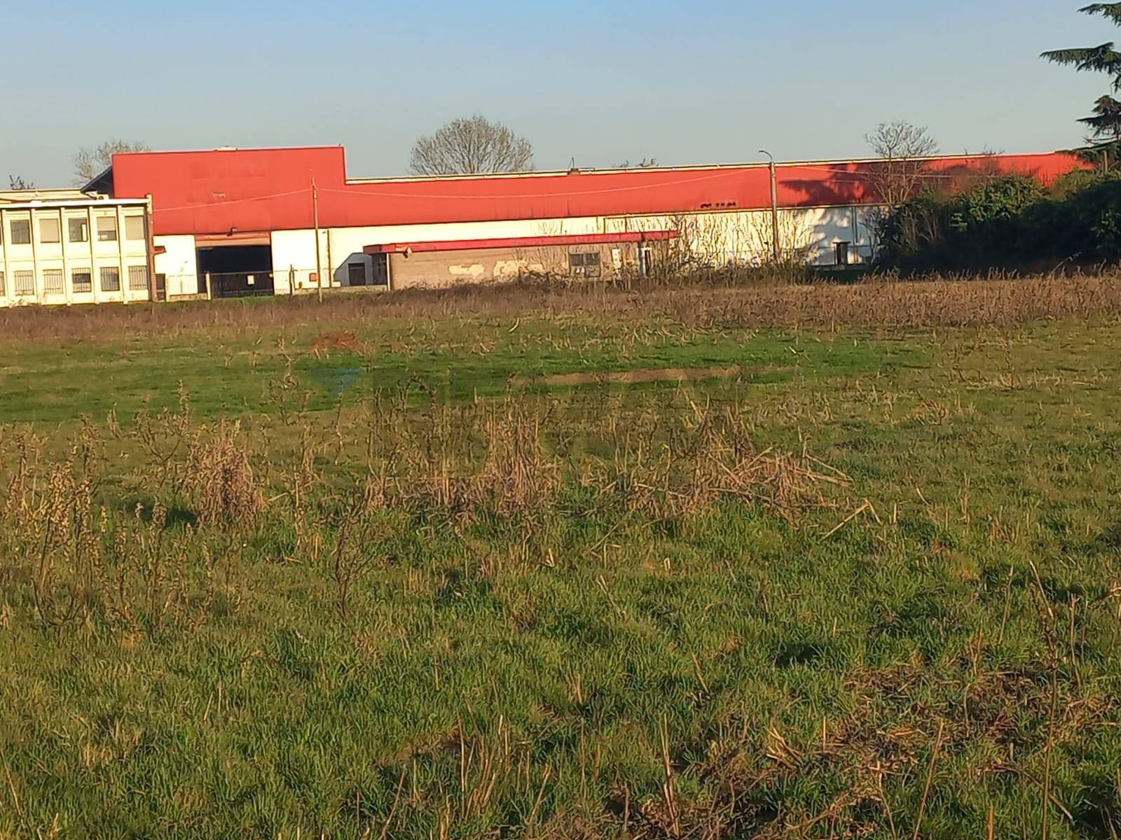 Terreno in vendita a Gambol, Belcreda