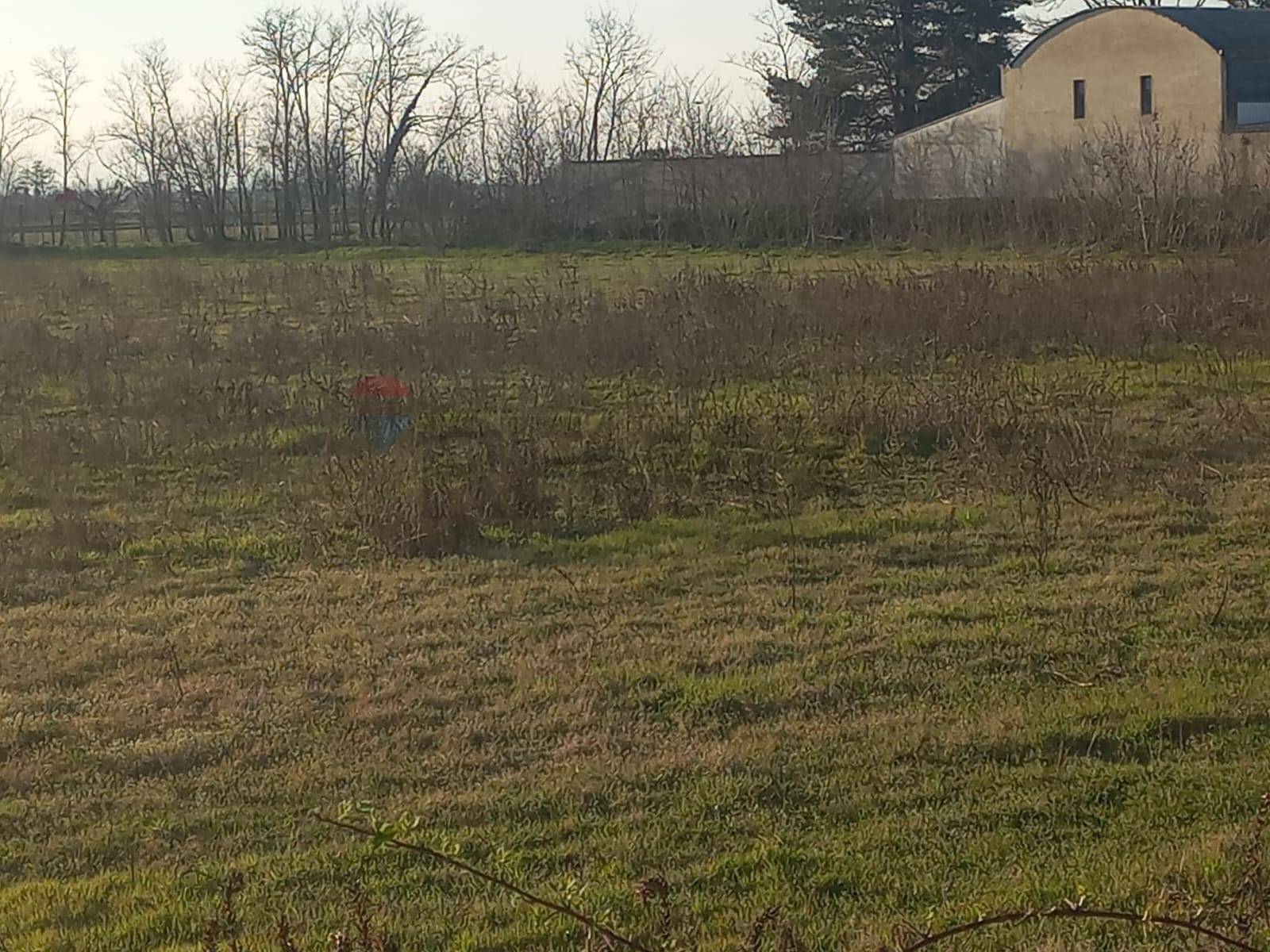 Terreno in vendita a Gambol, Belcreda