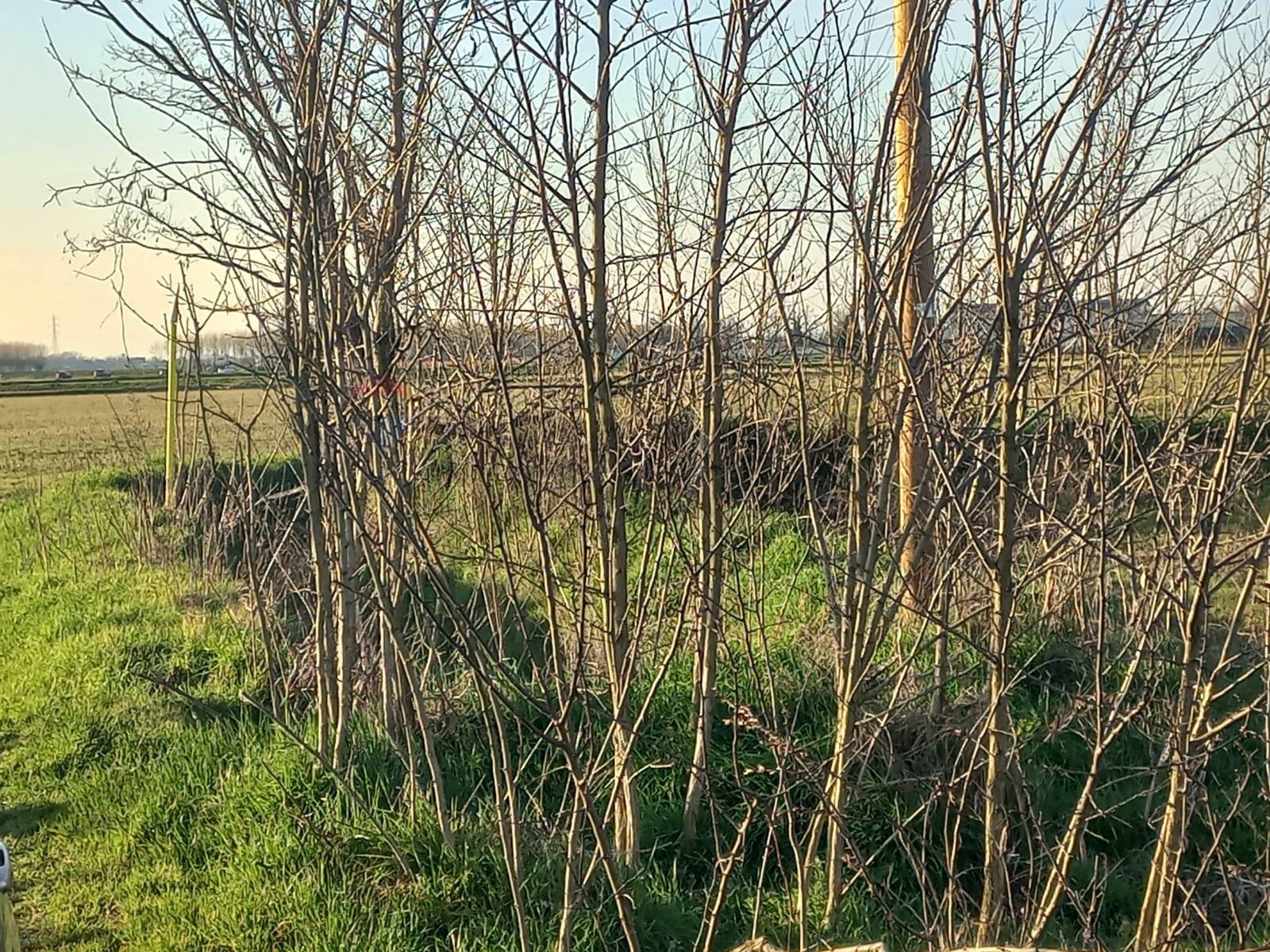 Terreno in vendita a Gambol, Belcreda