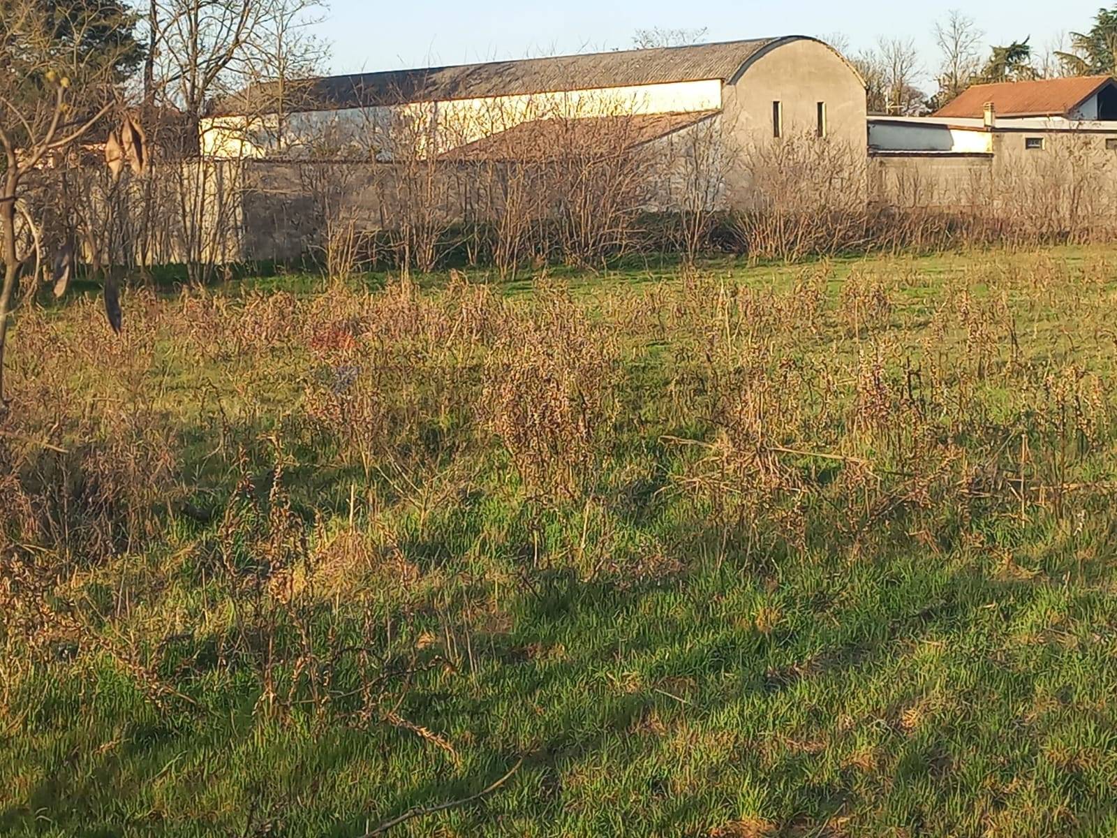 Terreno in vendita a Gambol, Belcreda