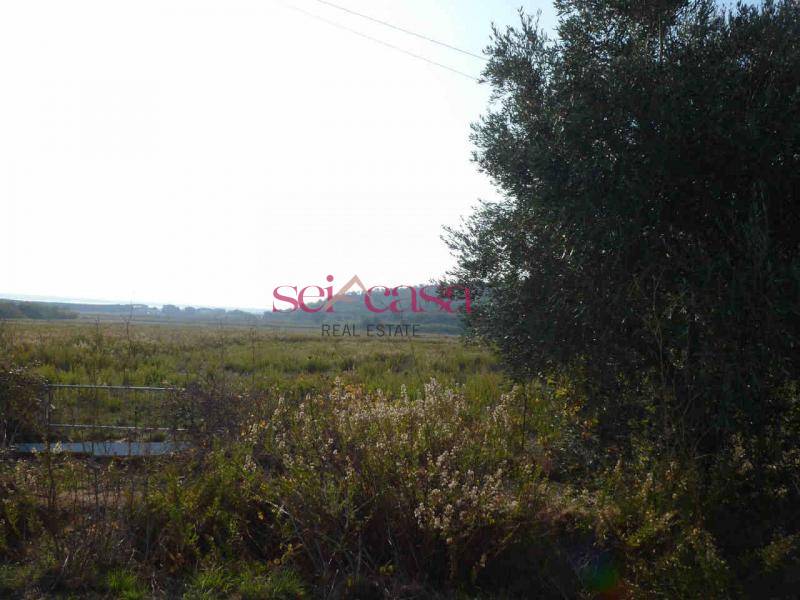 Casale in vendita a Castiglione della Pescaia
