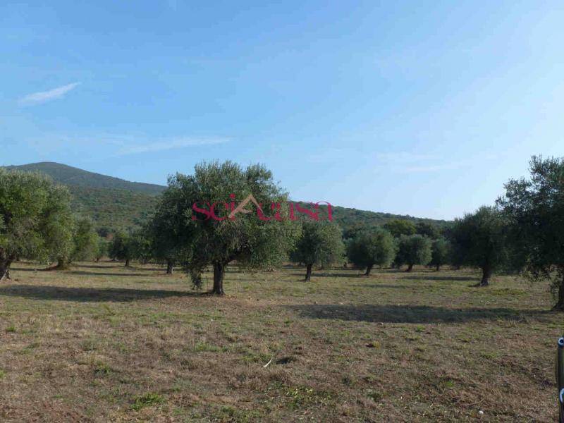 Casale in vendita a Castiglione della Pescaia