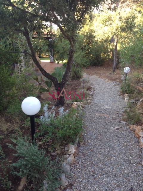 Villa in vendita a Orbetello, Ansedonia