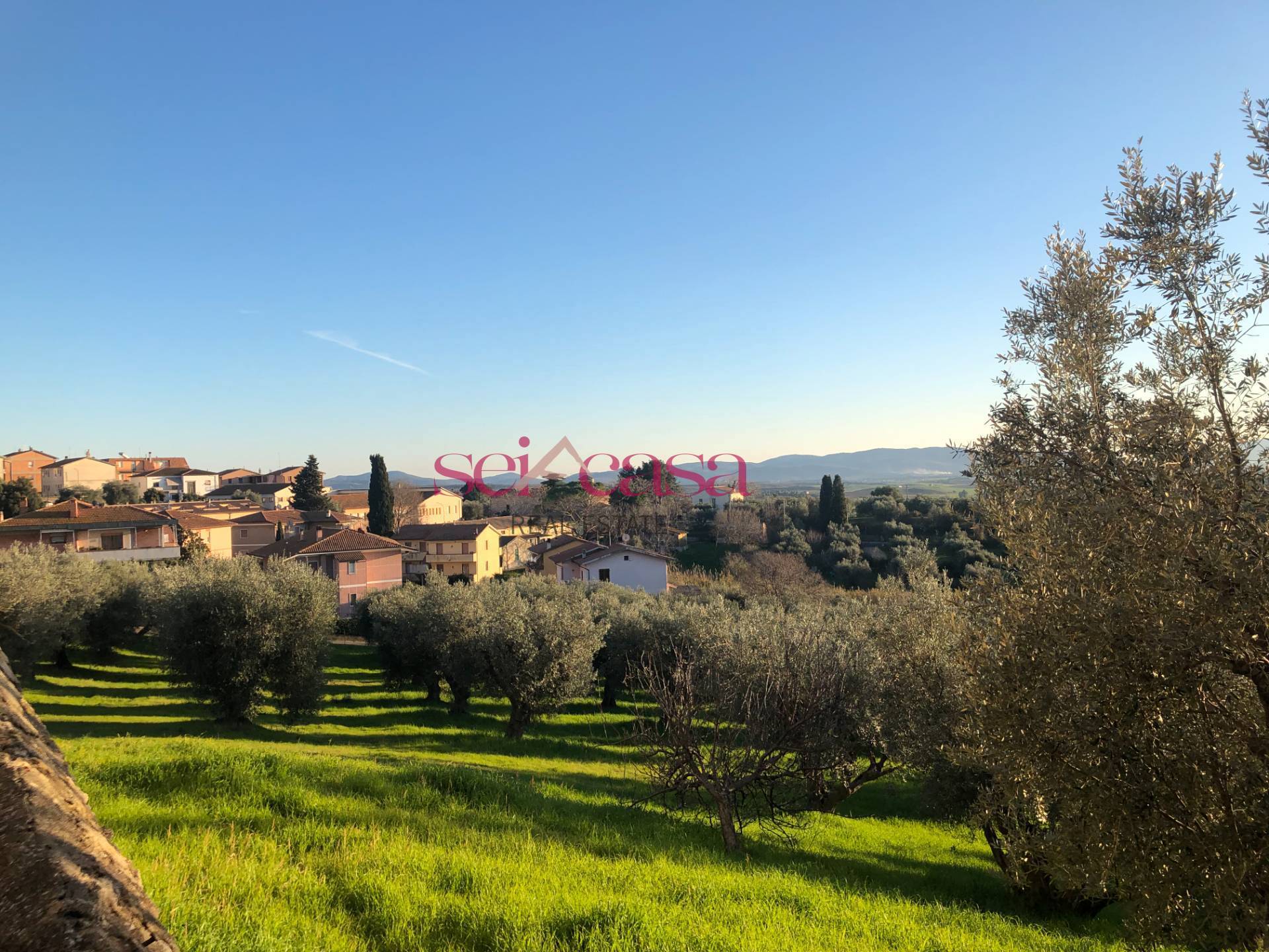 Appartamento in vendita a Magliano in Toscana