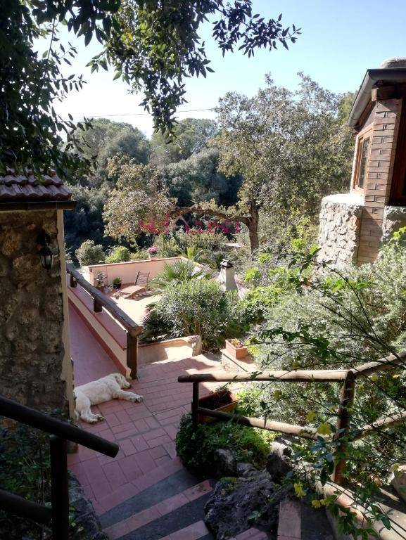 Villa in vendita a Orbetello, Ansedonia