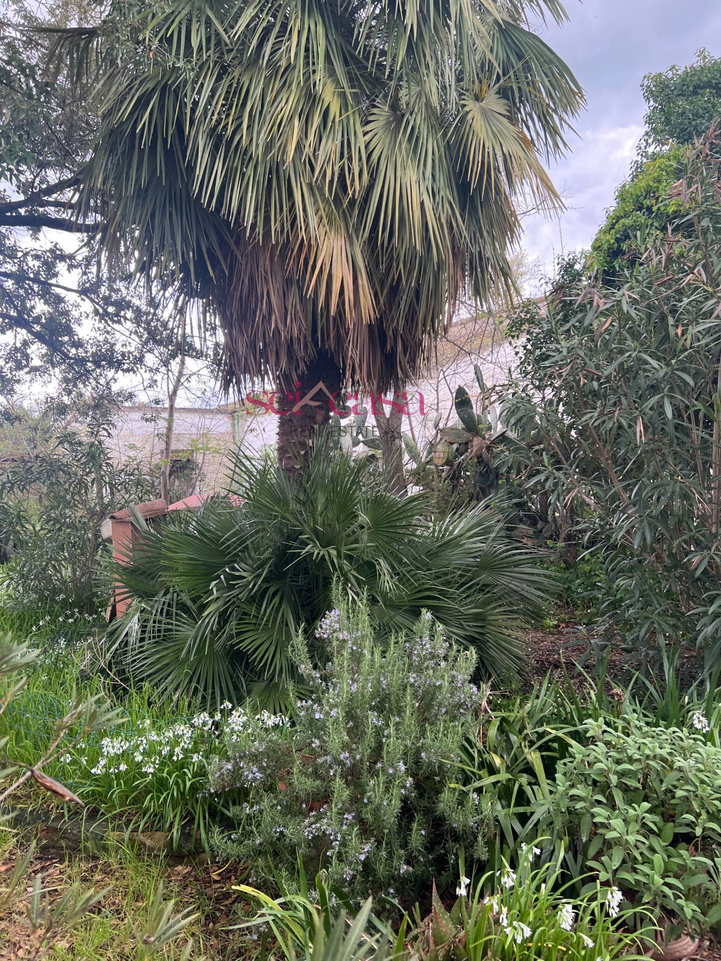 Rustico in vendita a Roccastrada, Ribolla