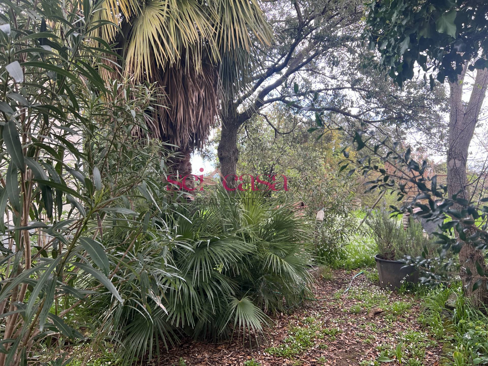 Rustico in vendita a Roccastrada, Ribolla