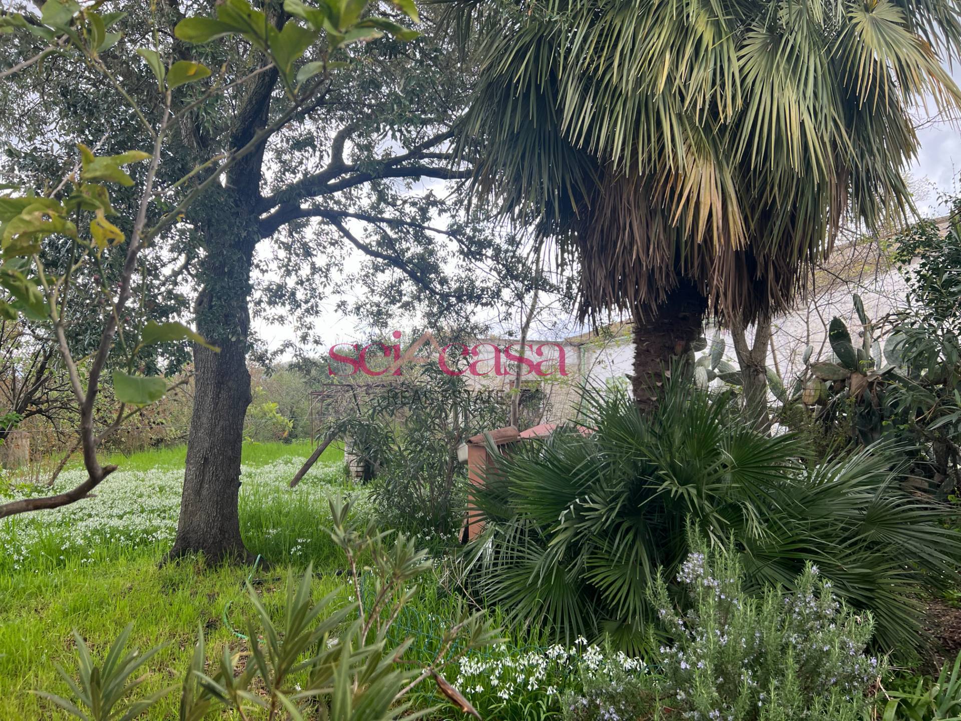 Rustico in vendita a Roccastrada, Ribolla