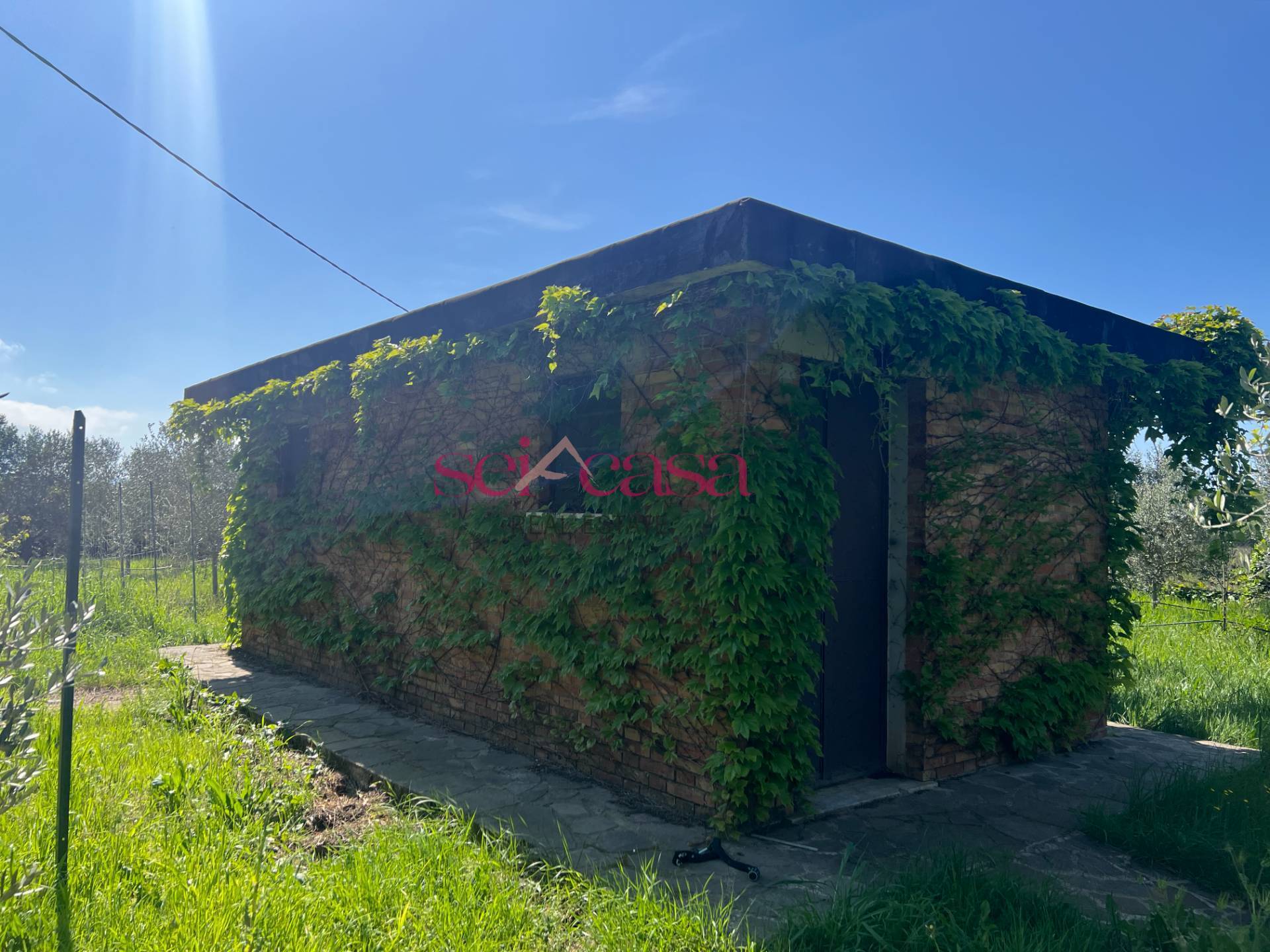 Terreno Agricolo in vendita a Grosseto, Marina di Grosseto
