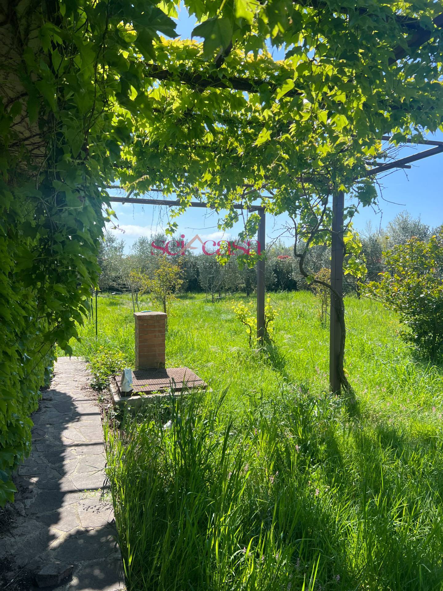 Terreno Agricolo in vendita a Grosseto, Marina di Grosseto