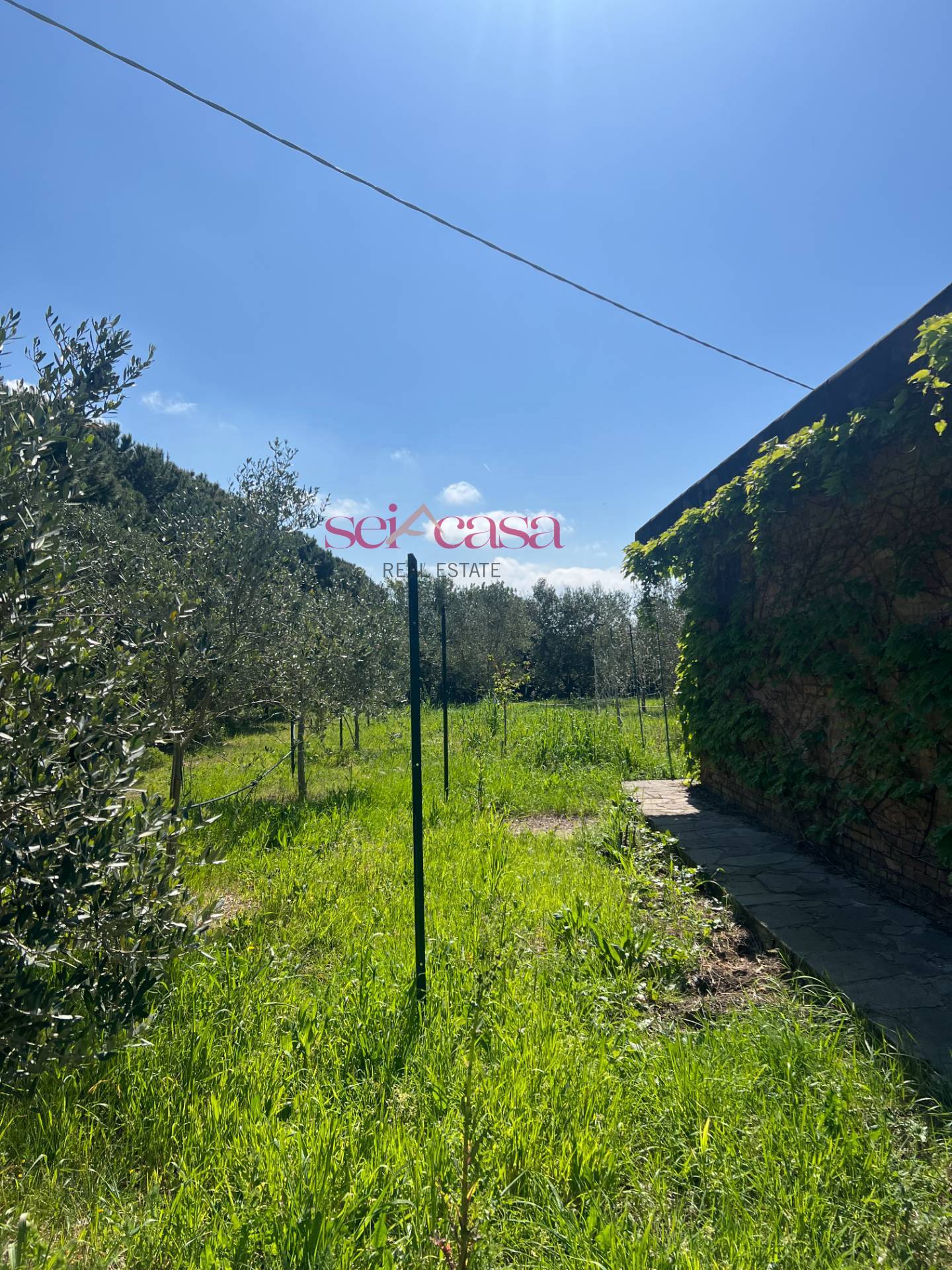 Terreno Agricolo in vendita a Grosseto, Marina di Grosseto