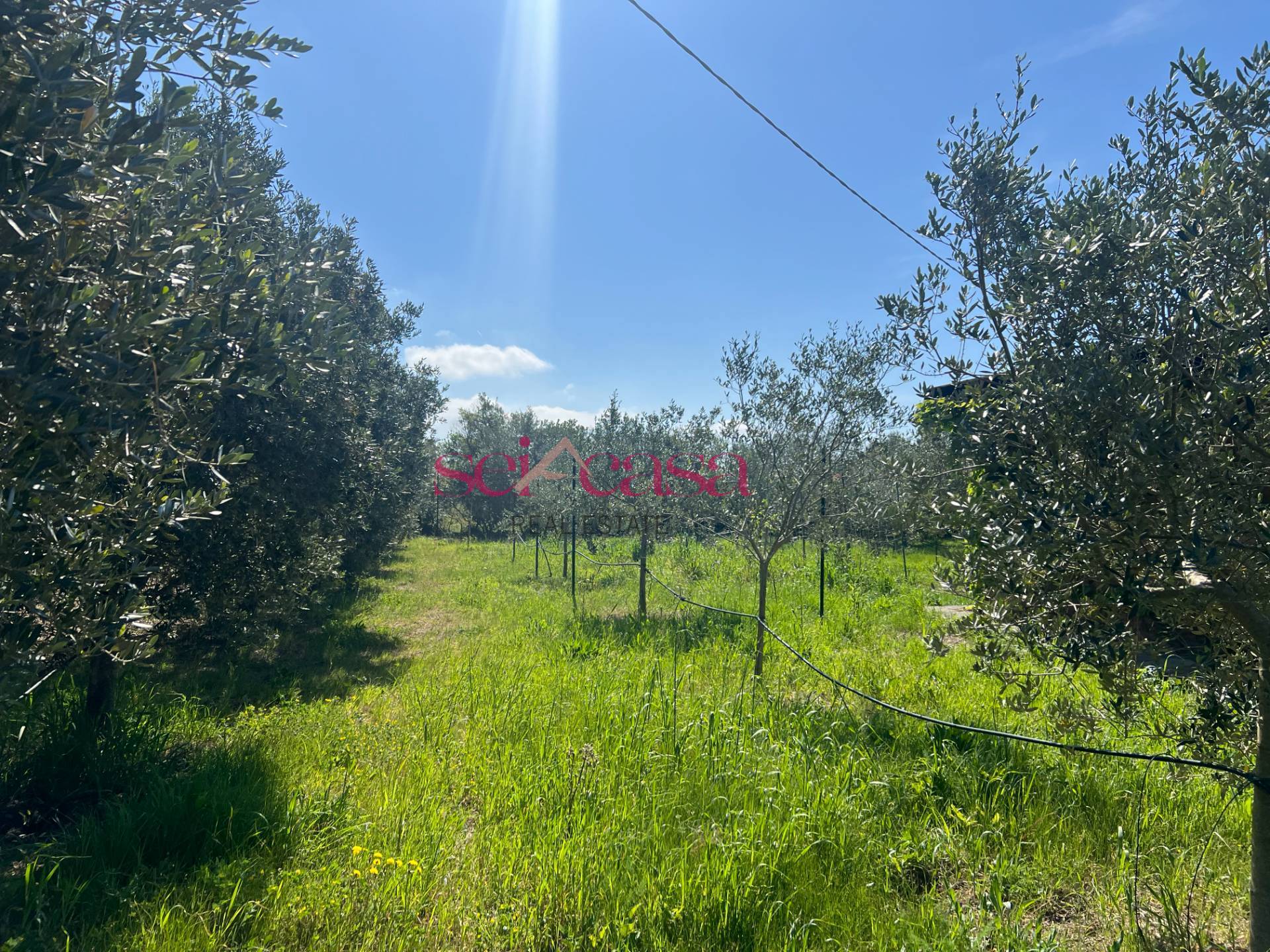 Terreno Agricolo in vendita a Grosseto, Marina di Grosseto