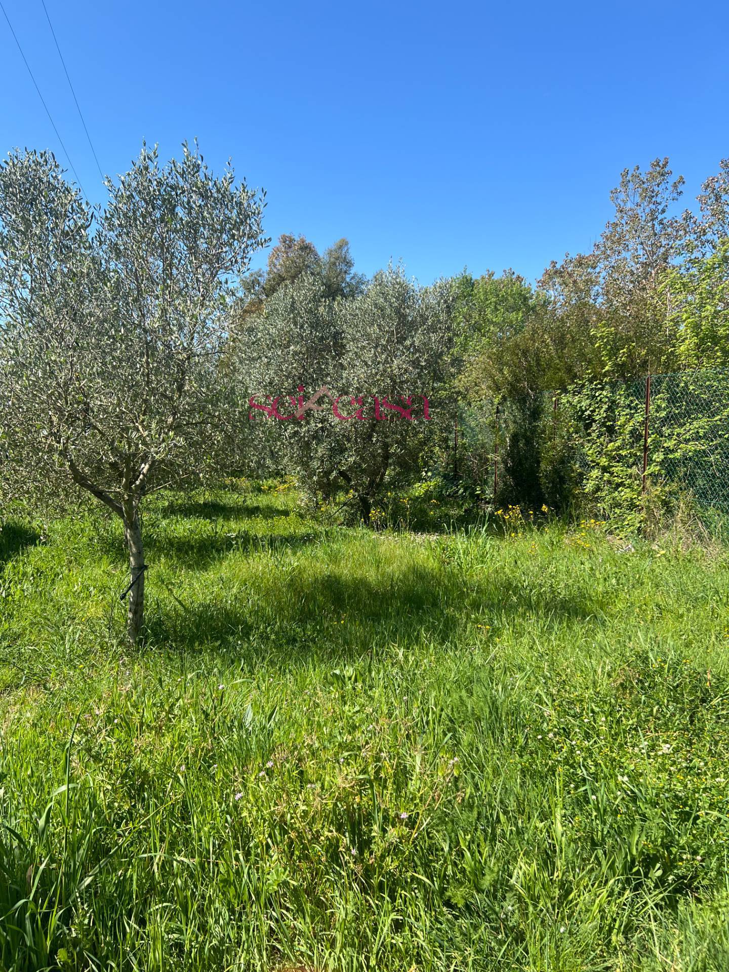 Terreno Agricolo in vendita a Grosseto, Marina di Grosseto