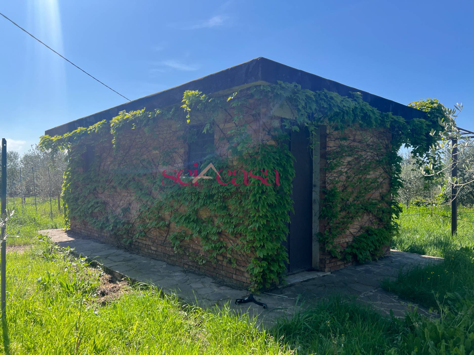 Terreno Agricolo in vendita a Grosseto, Marina di Grosseto