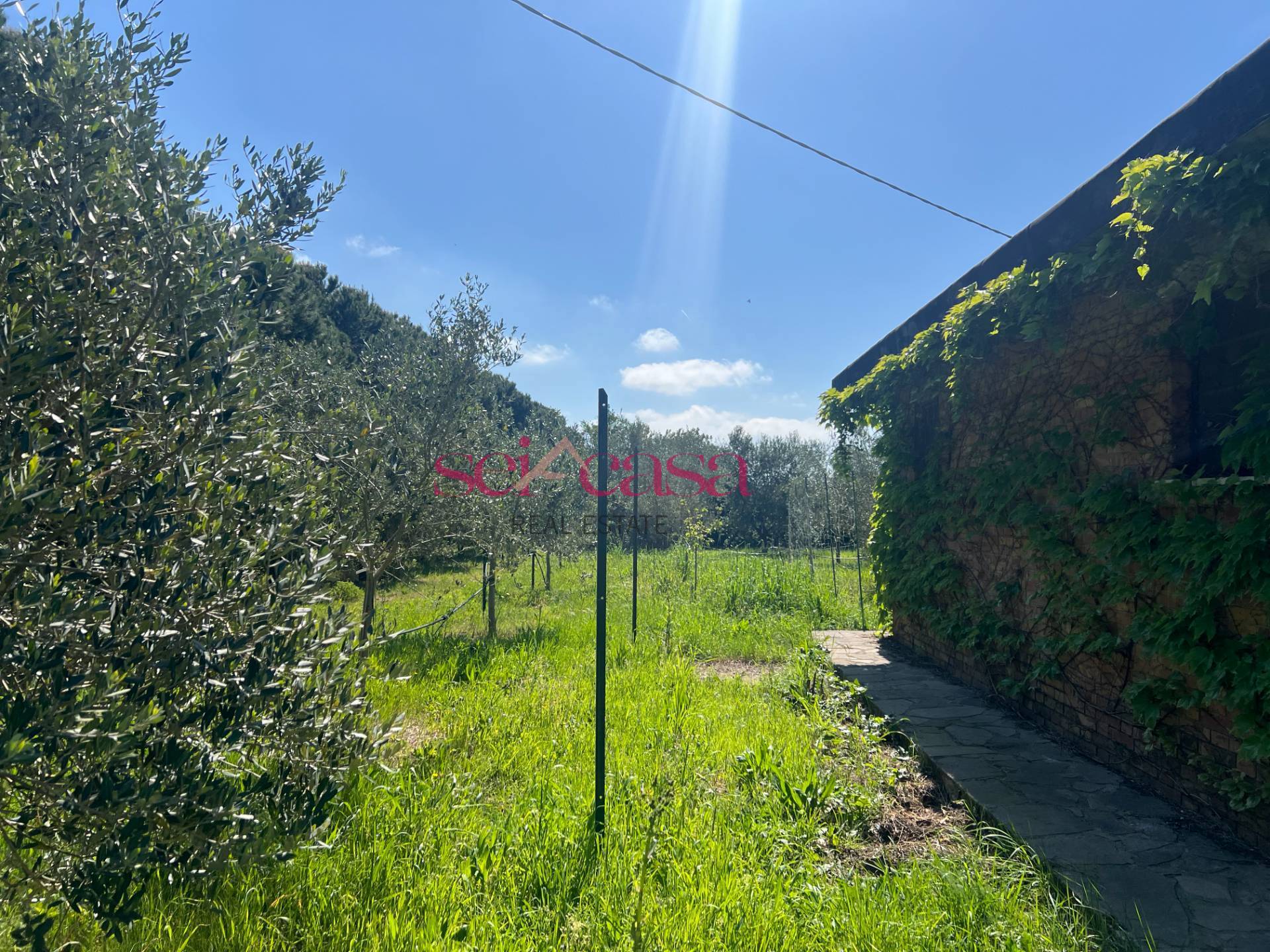 Terreno Agricolo in vendita a Grosseto, Marina di Grosseto