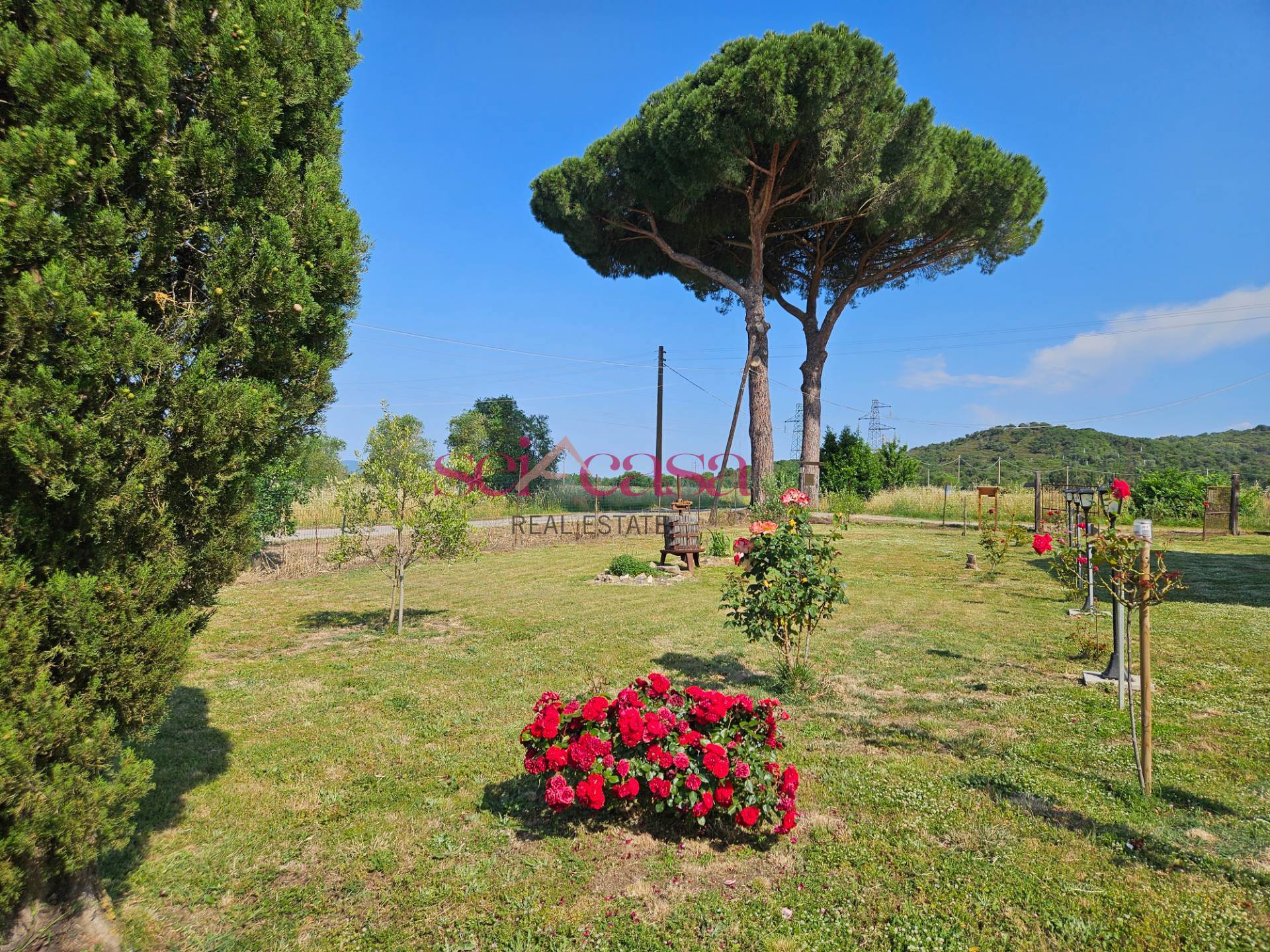 Casale in vendita a Grosseto, Bottegone
