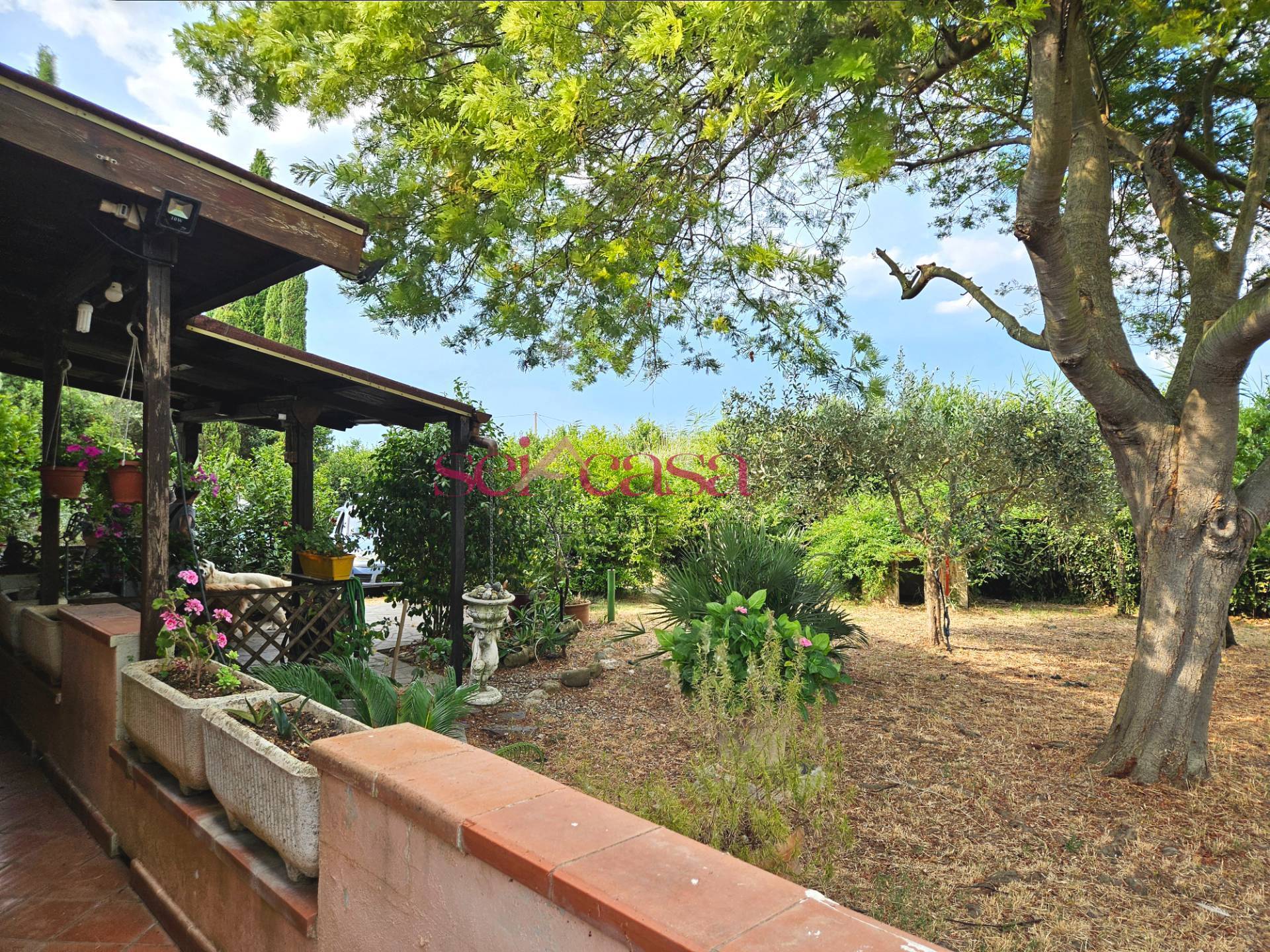 Casale in vendita a Grosseto, Barbaruta