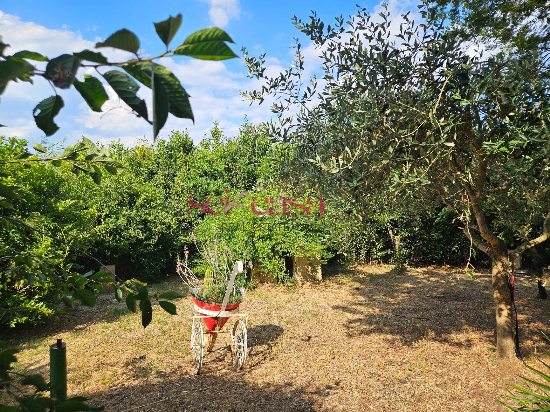 Casale in vendita a Grosseto, Barbaruta