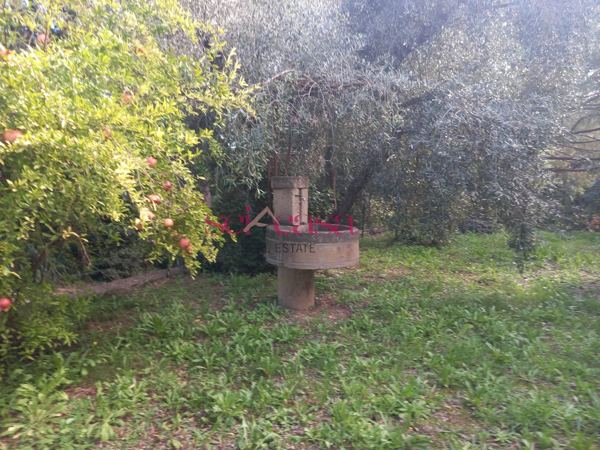 Villetta trifamiliare in vendita a Magliano in Toscana, Cupi