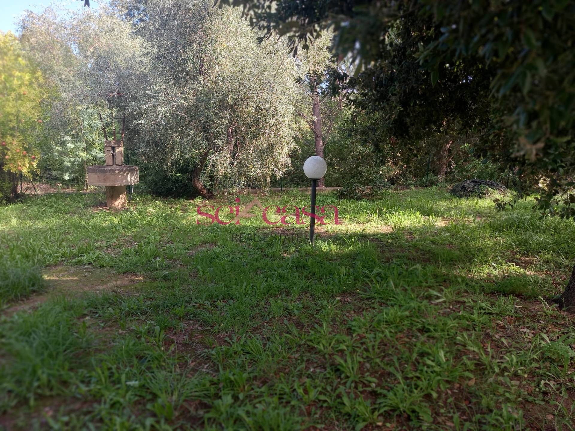 Villetta trifamiliare in vendita a Magliano in Toscana, Cupi