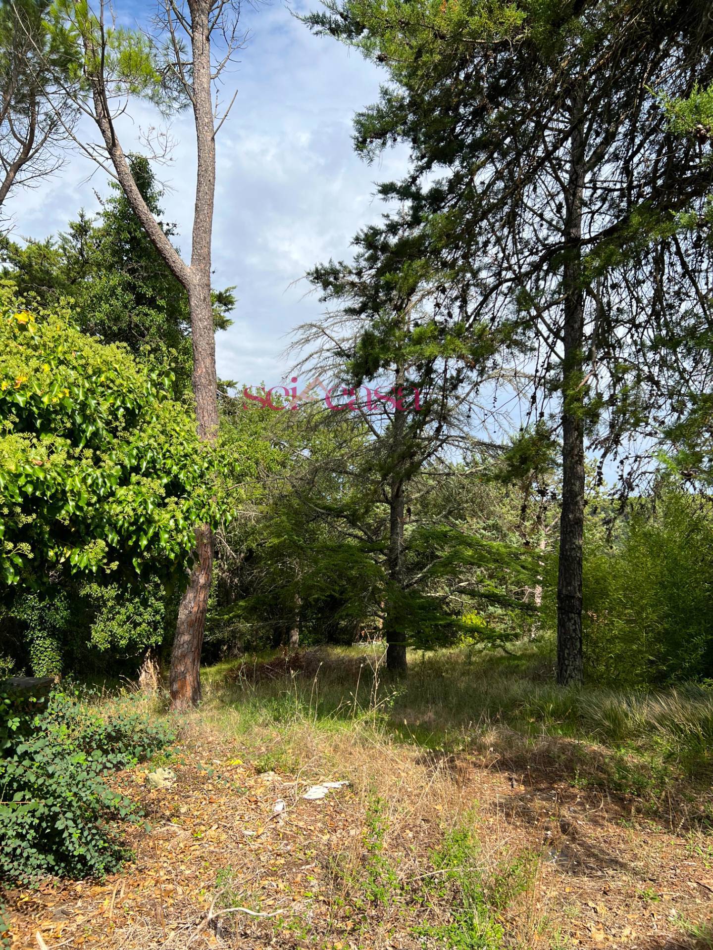 Casale in vendita a Cinigiano, Sasso d'Ombrone