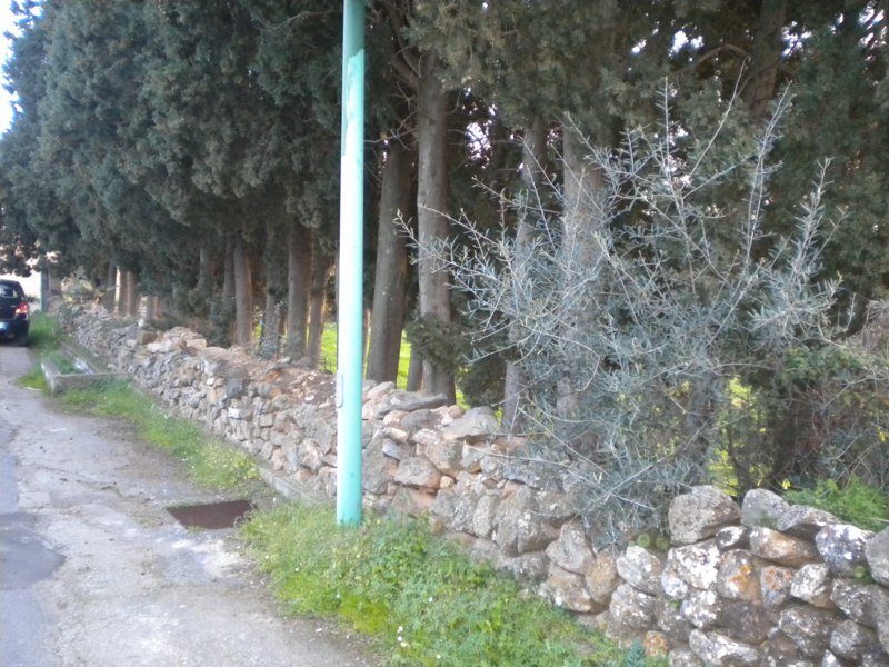 Terreno edificabile in vendita a Nuxis