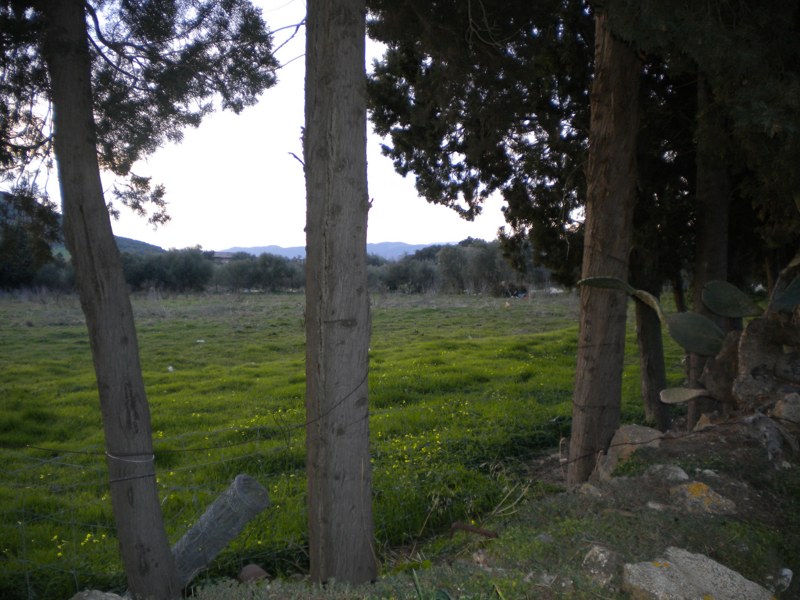 Terreno edificabile in vendita a Nuxis