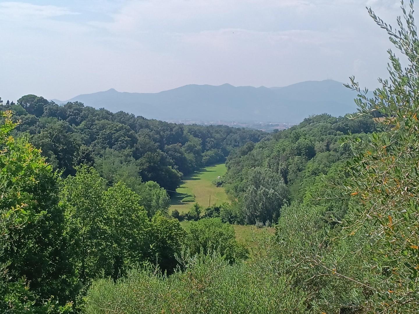 Terreno Agricolo in vendita, Pontedera treggiaia