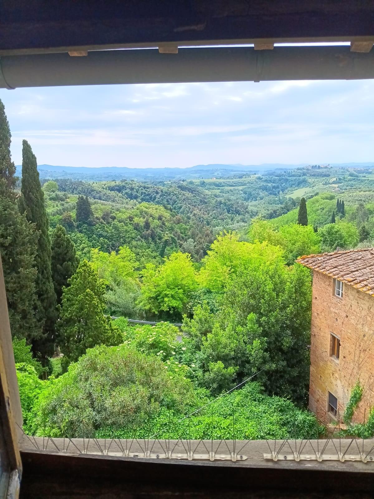 Casa indipendente in vendita a Palaia
