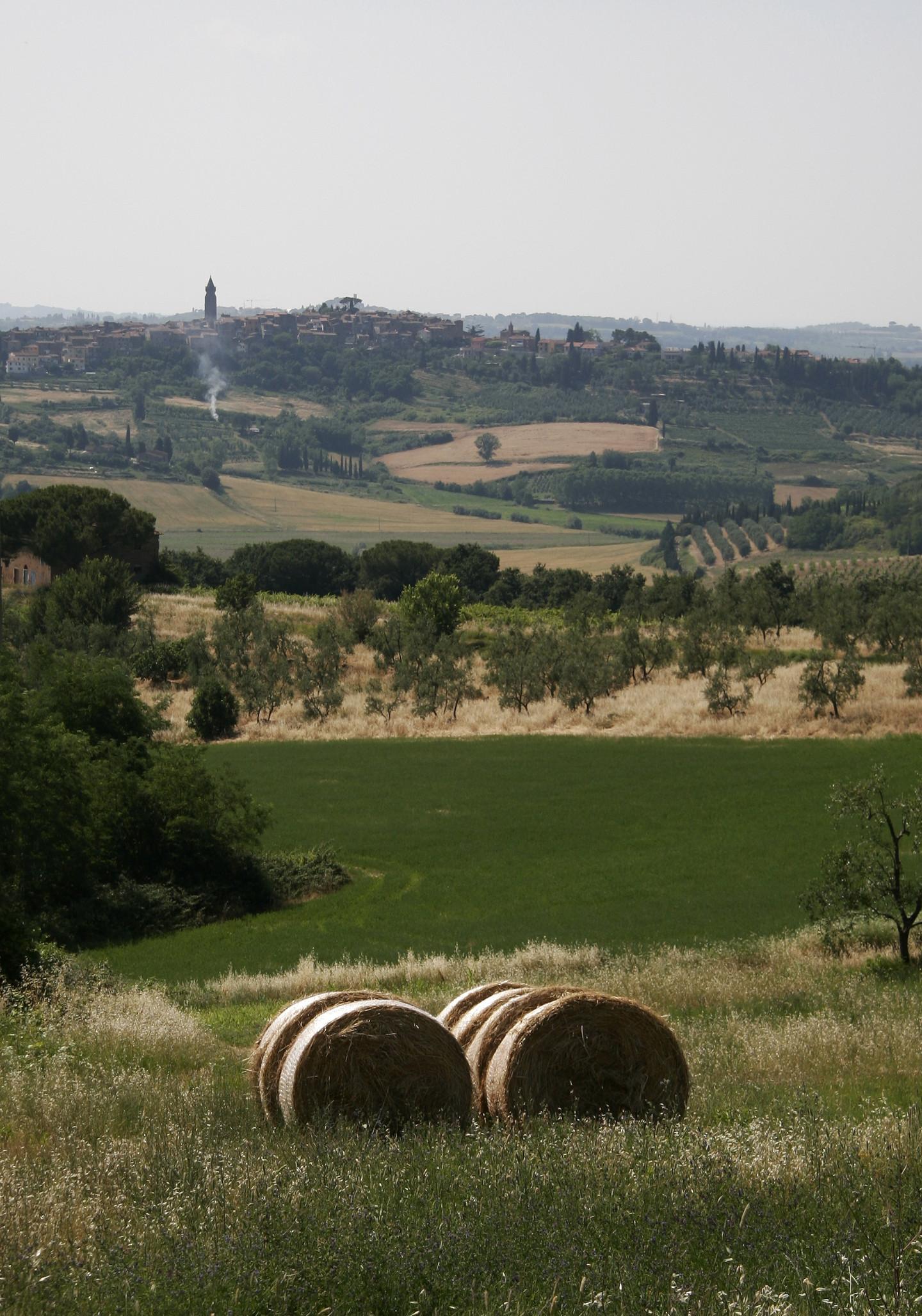 Appartamento con giardino a Peccioli