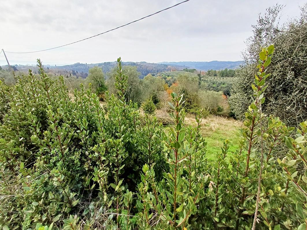 Rustico con giardino a Palaia