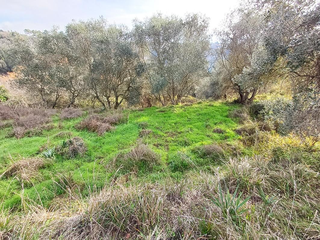 Rustico con giardino a Palaia