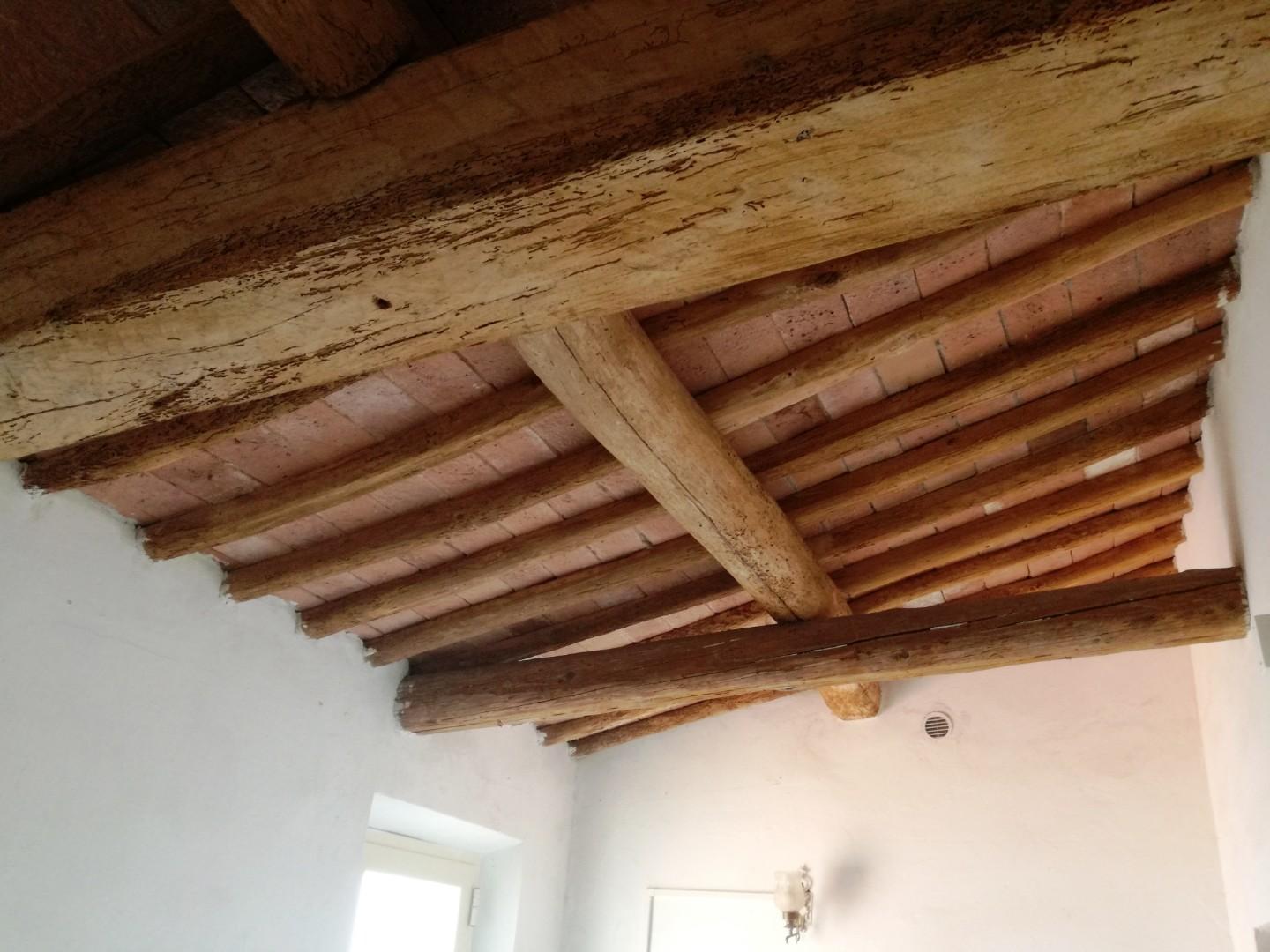 Trilocale con terrazzo a Palaia