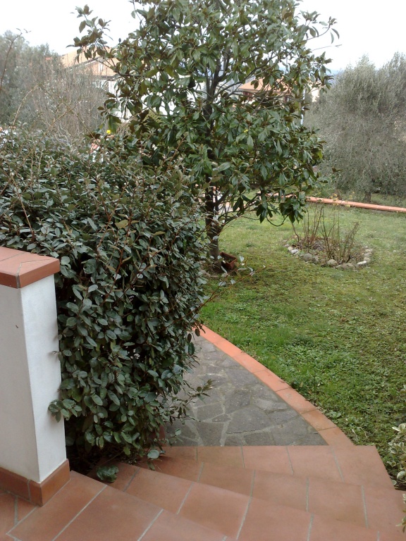 Appartamento con giardino, Peccioli fabbrica