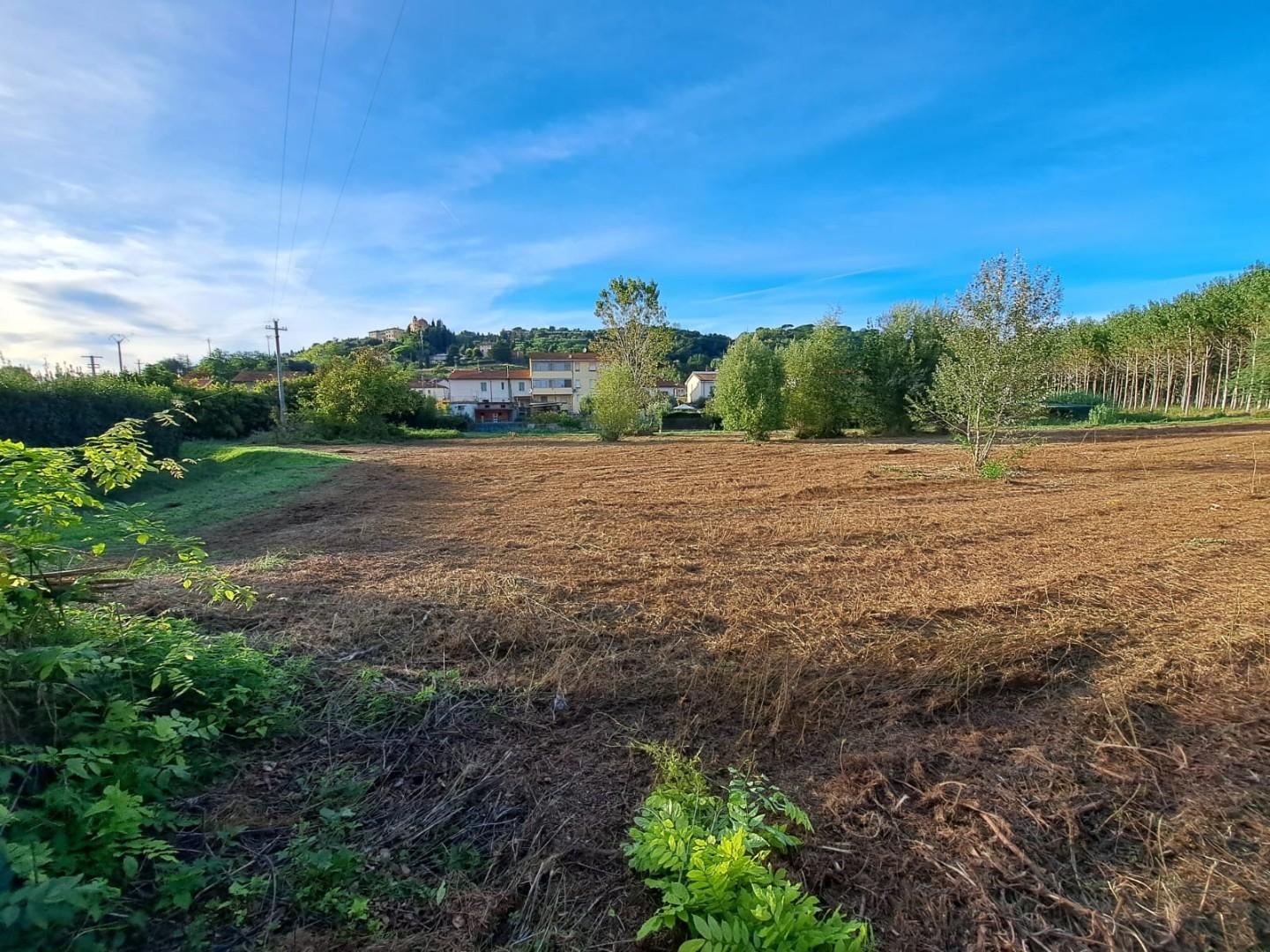 immagine annuncio 2 di 4