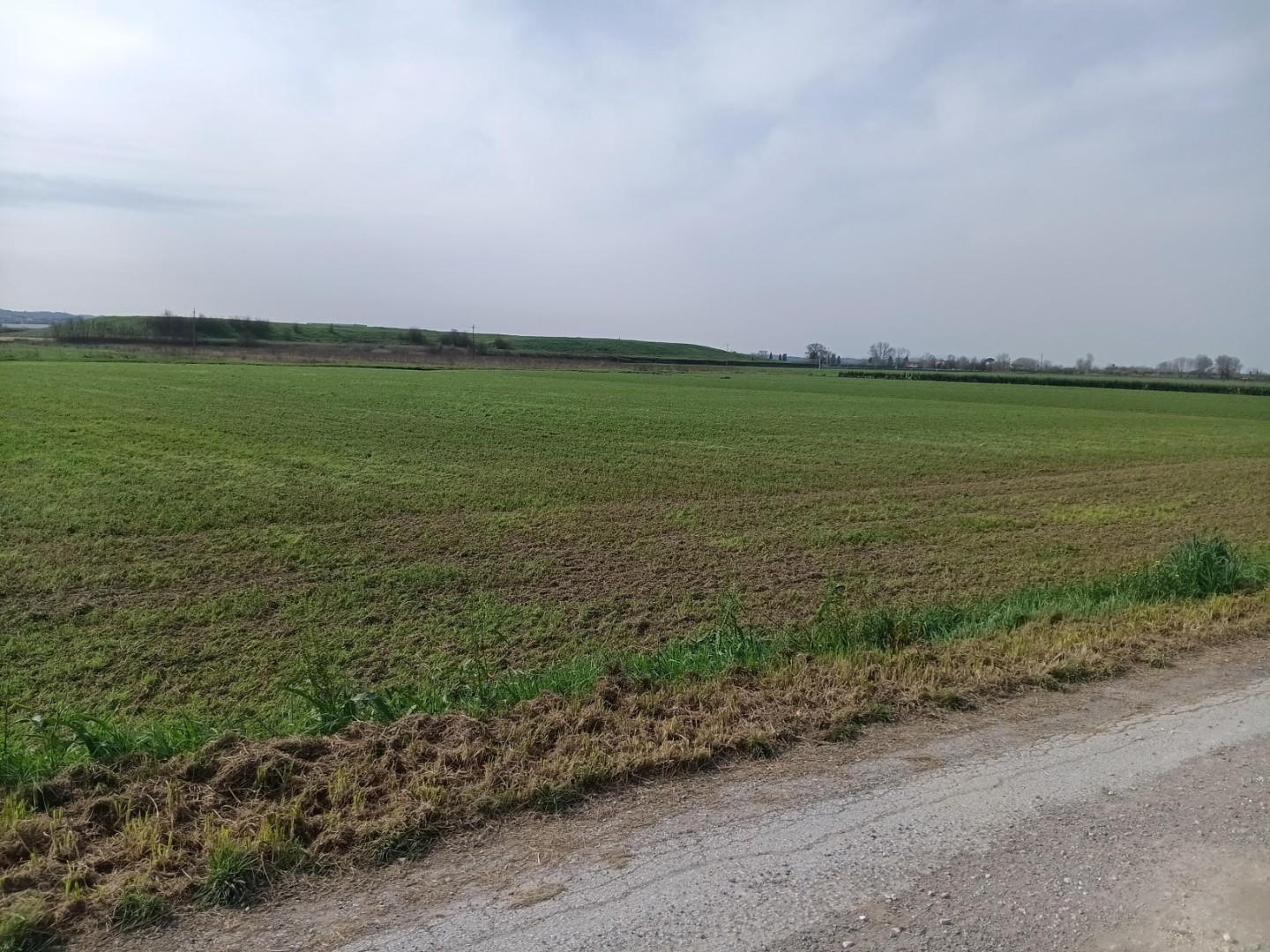 Rustico da ristrutturare, Montopoli in Val d'Arno capanne