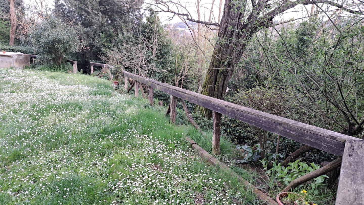 Terreno Agricolo in vendita a Peccioli