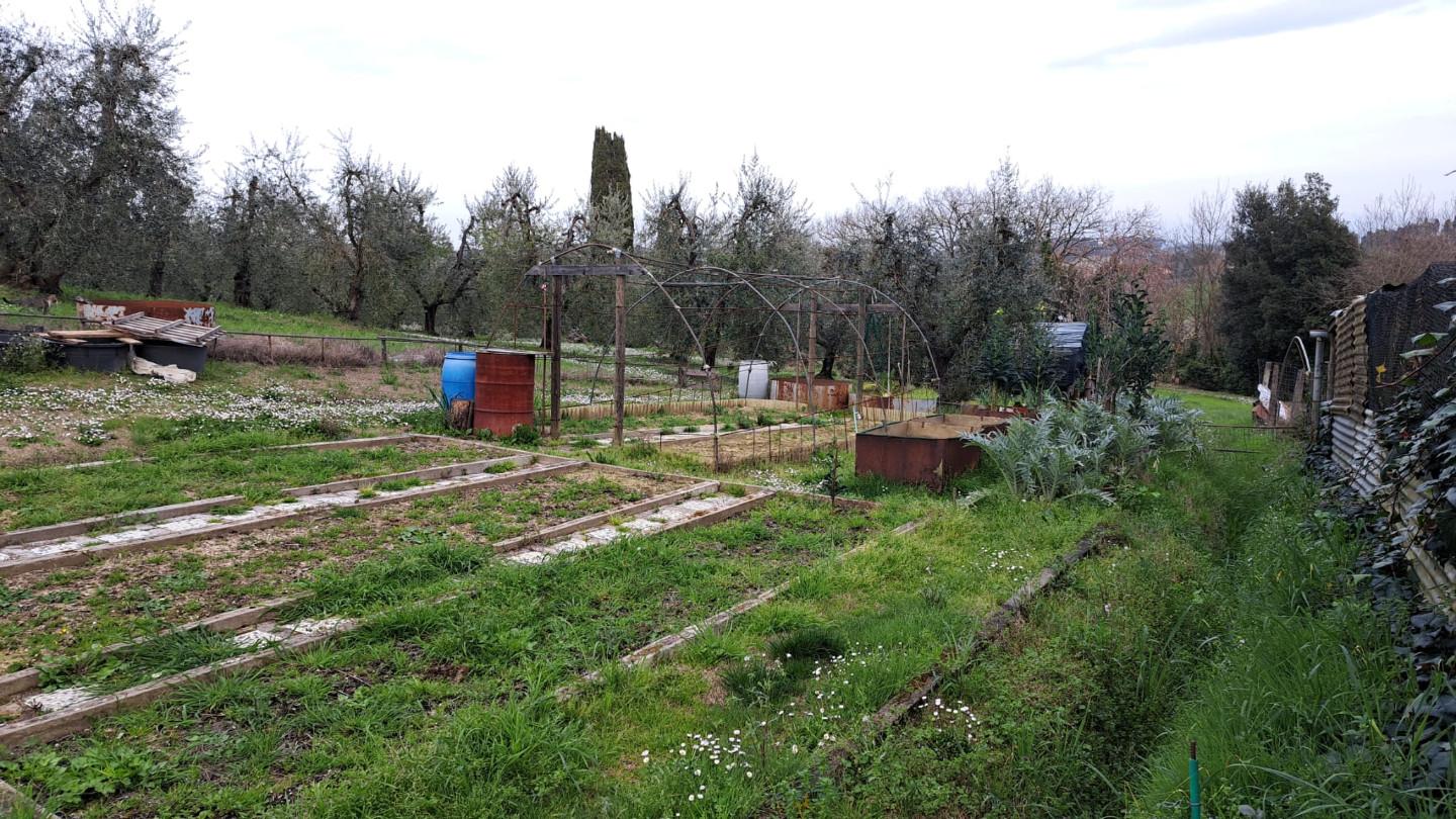 Terreno Agricolo in vendita a Peccioli