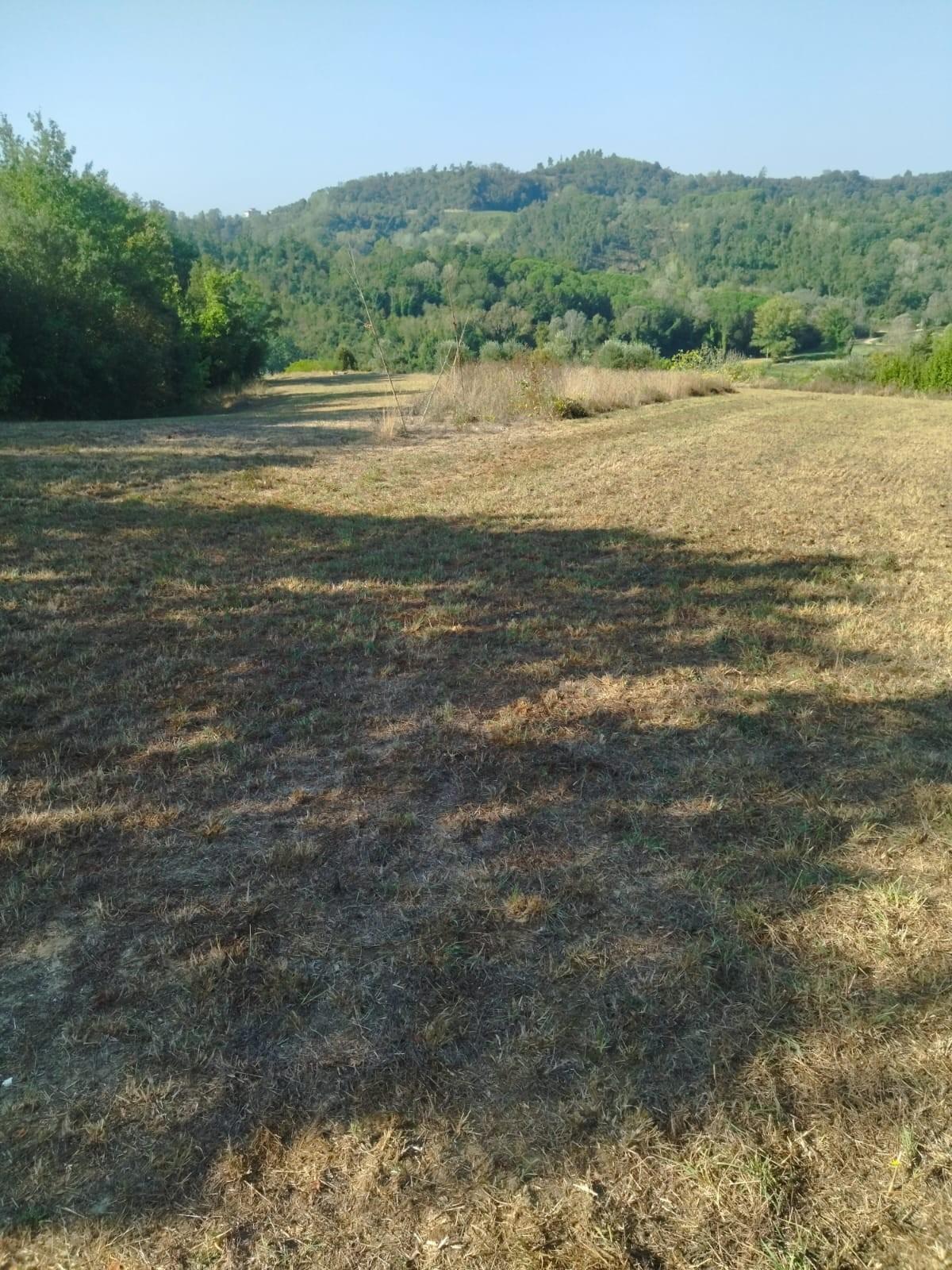 Terreno Agricolo in vendita a Palaia