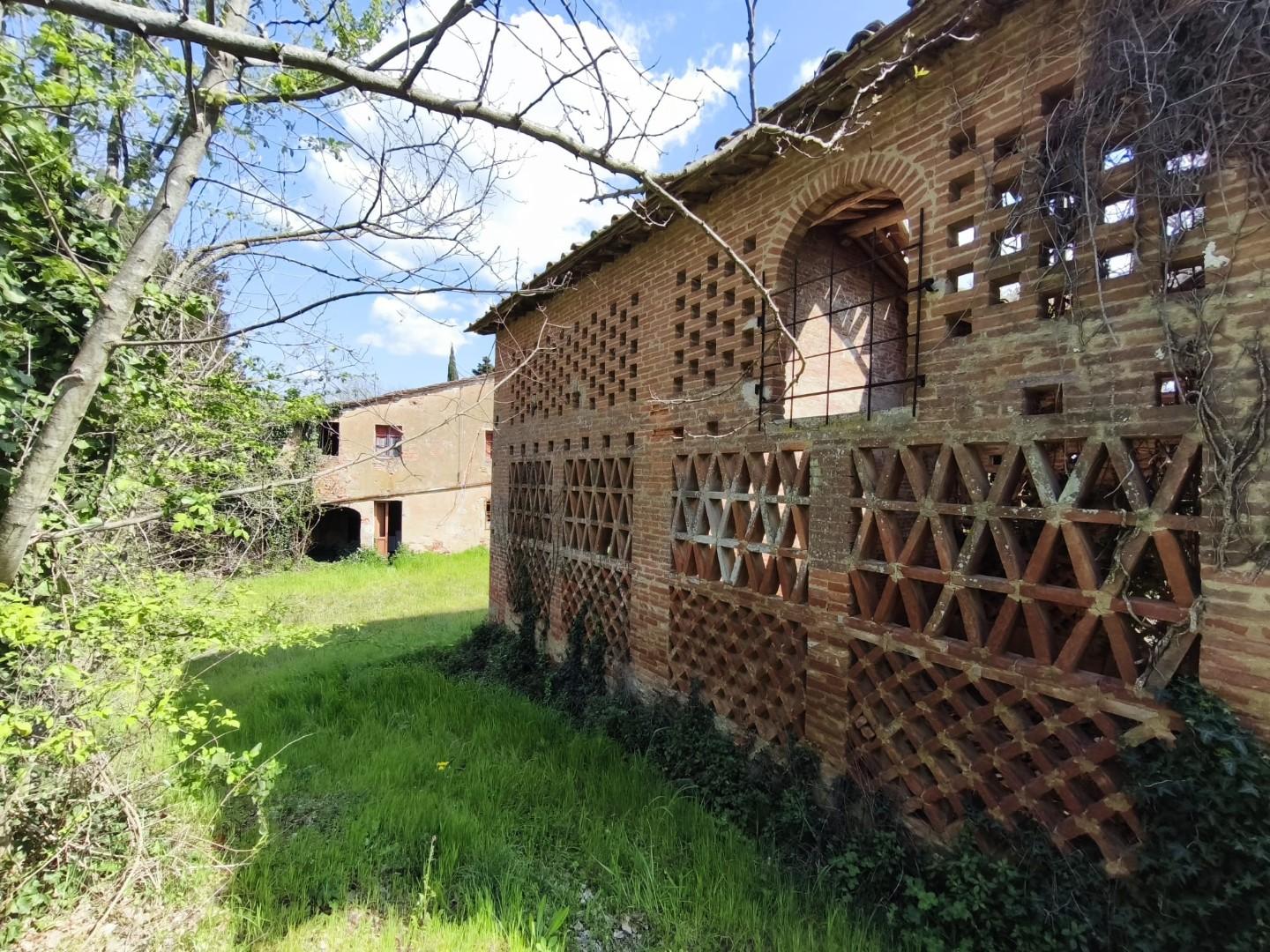 Rustico con giardino, Palaia toiano