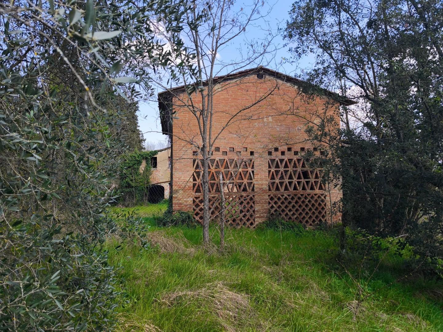 Rustico con giardino, Palaia toiano