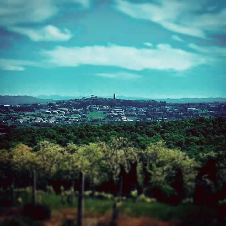 Terreno Agricolo in vendita a Peccioli