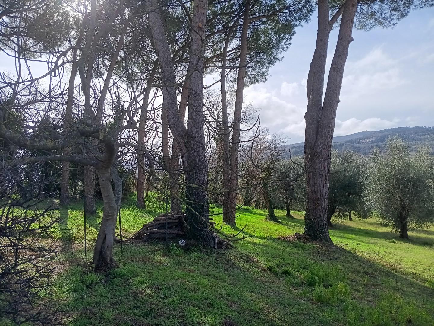 Rustico con giardino, Lajatico orciatico