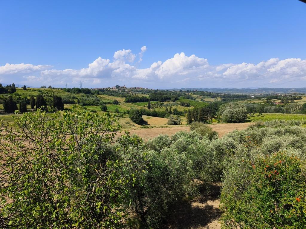 Rustico con giardino a Terricciola