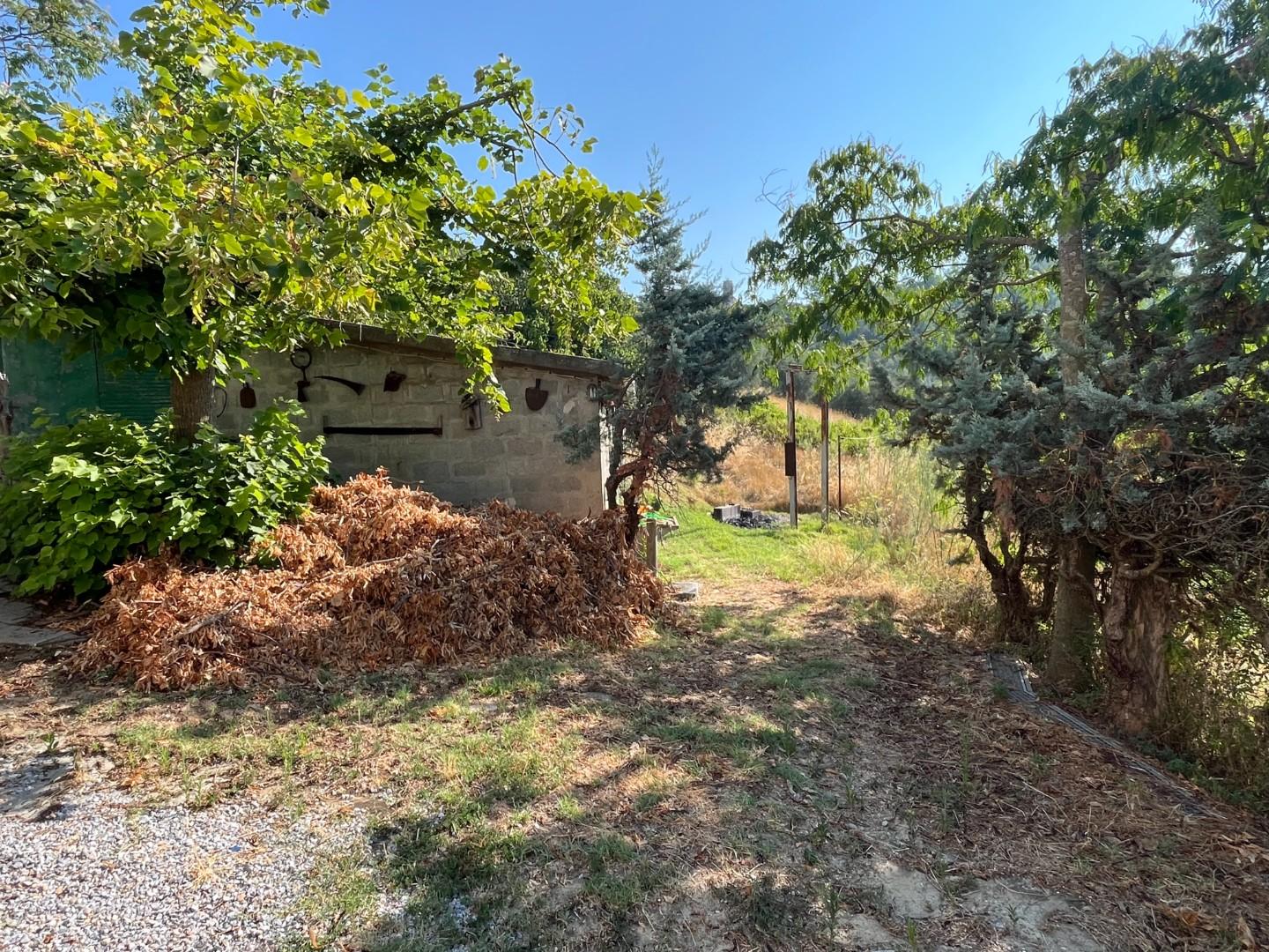 Casa indipendente con giardino, Peccioli legoli