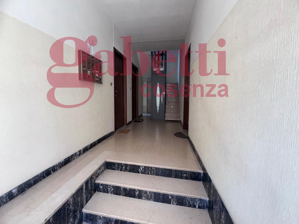 Trilocale in affitto a Cosenza