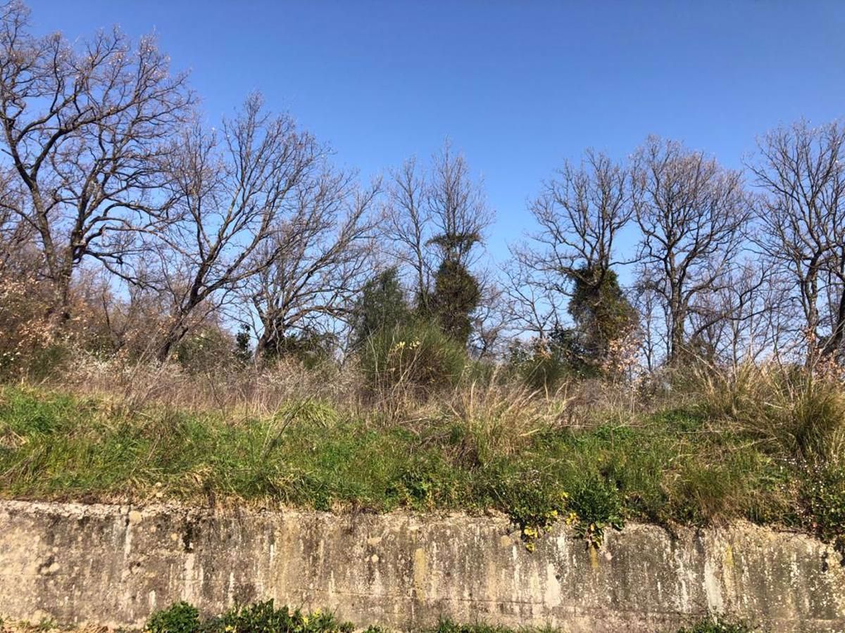 Terreno Agricolo in vendita a Cosenza