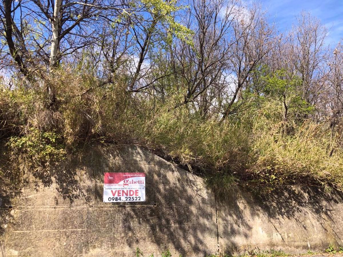Terreno Agricolo in vendita a Cosenza