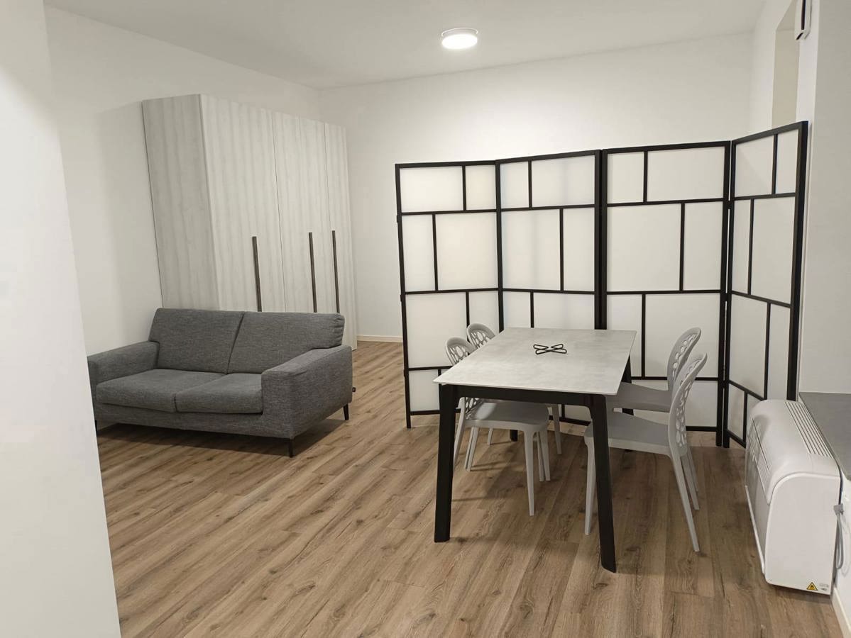 Monolocale arredato in affitto a Lodi